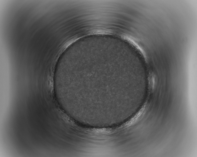 X0000093451025200710261057