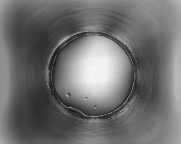 X0000093451029200710261057