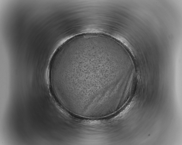 X0000093451030200710261057