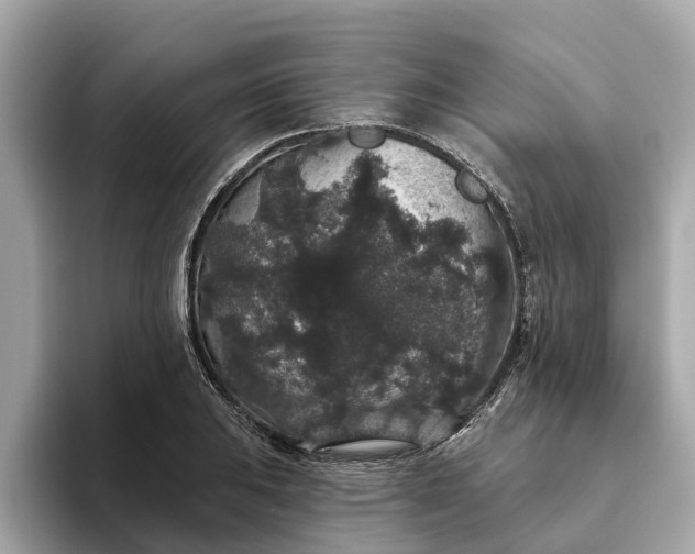 X0000093451031200710261057