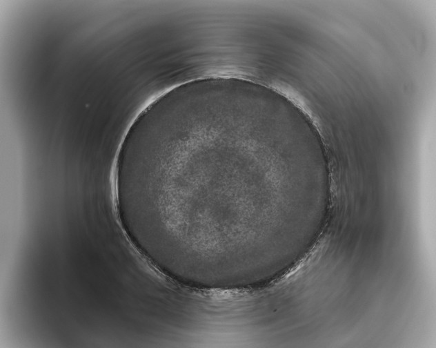 X0000093451032200710261057