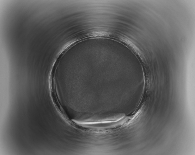 X0000093451034200710261057