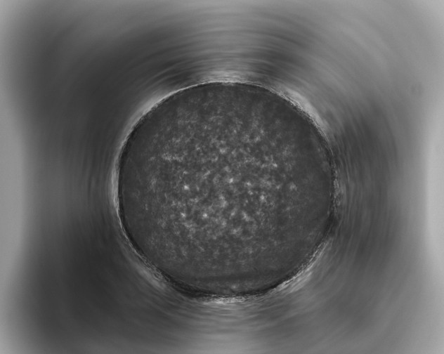 X0000093451035200710261057