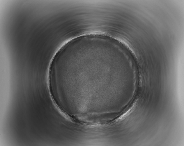 X0000093451038200710261057