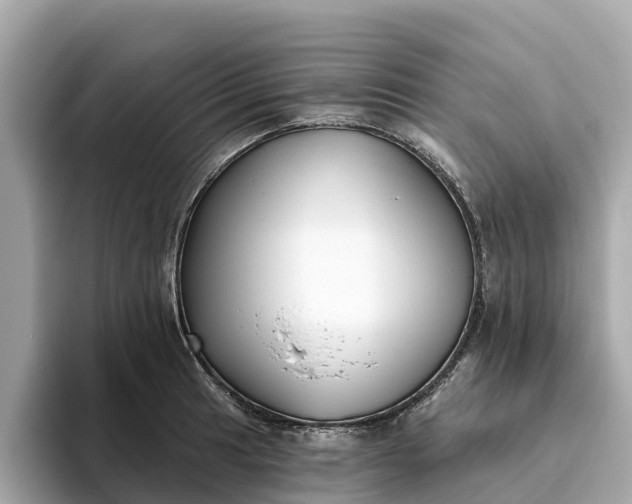 X0000093451041200710261057