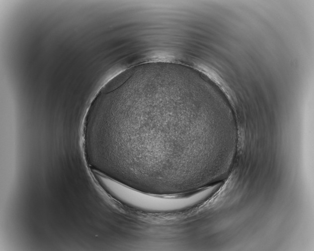 X0000093451042200710261057