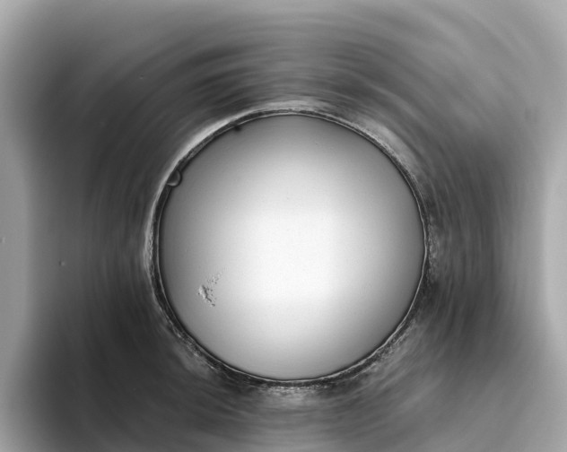 X0000093451044200710261057