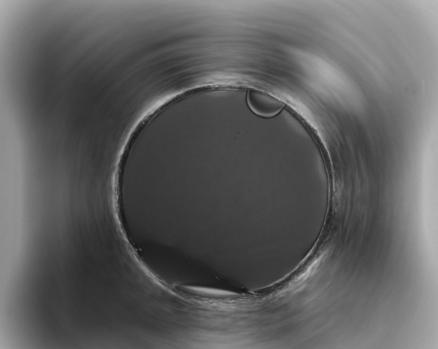 X0000093451045200710261057