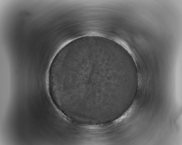 X0000093451048200710261057