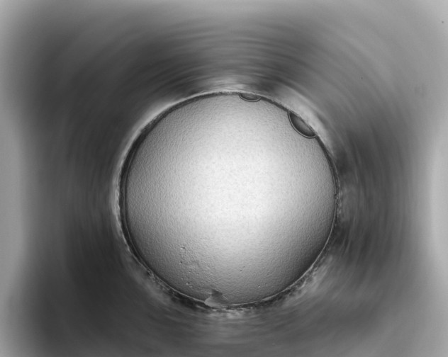 X0000093451051200710261057