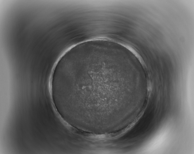 X0000093451054200710261057