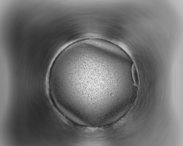 X0000093451056200710261057