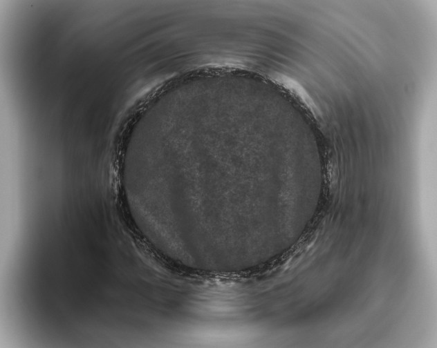 X0000093451064200710261056