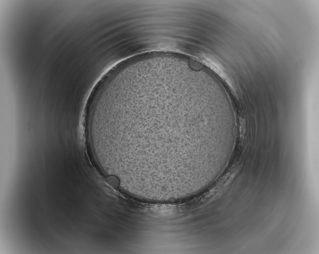 X0000093451068200710261056