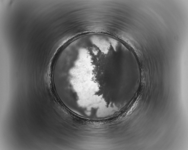 X0000093451071200710261056