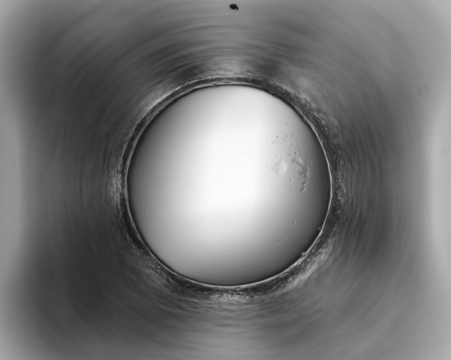 X0000093451073200710261056