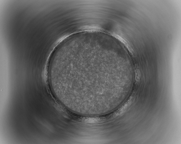 X0000093451074200710261056