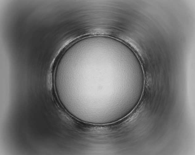 X0000093451075200710261056