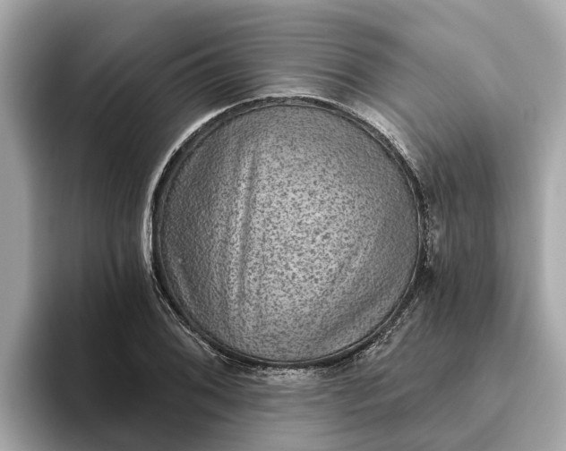 X0000093451076200710261056