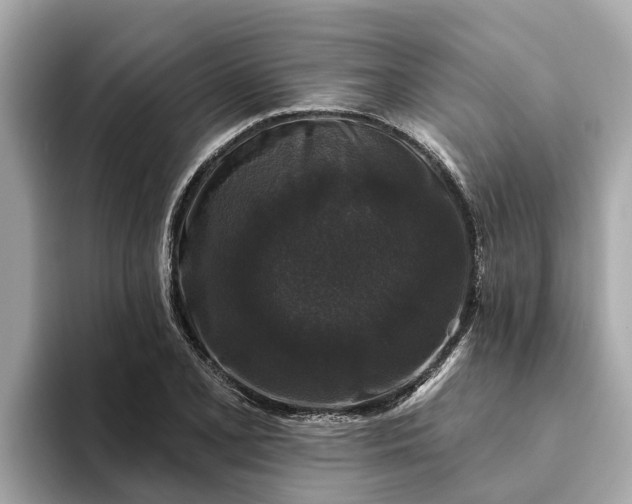 X0000093451077200710261056