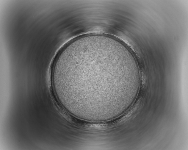 X0000093451078200710261056