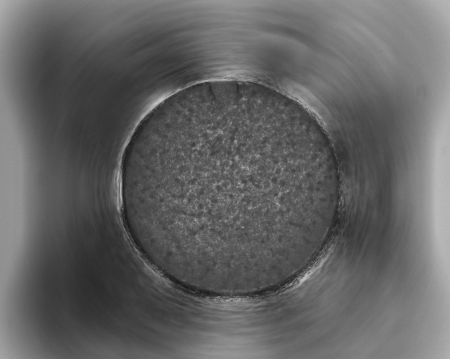 X0000093451079200710261056