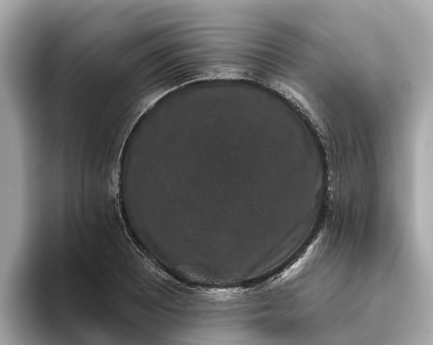 X0000093451081200710261056