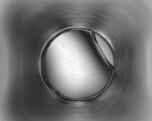 X0000093451085200710261056