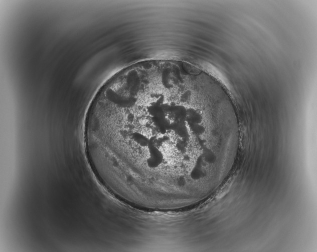 X0000093451087200710261056