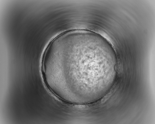 X0000093451088200710261056