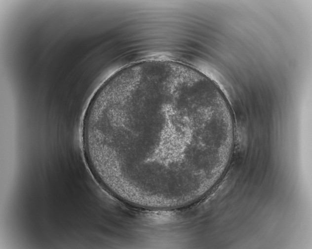 X0000093451090200710261056