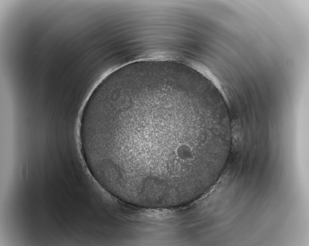 X0000093451091200710261056