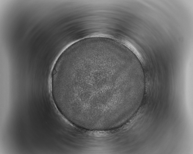 X0000093451092200710261056