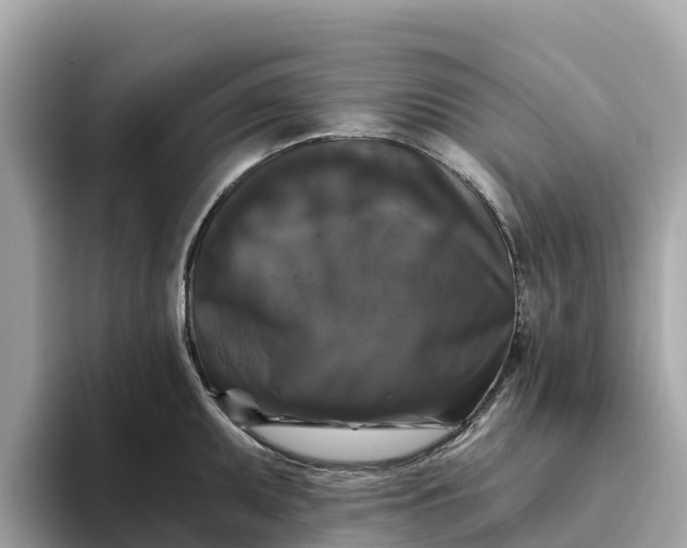 X0000093451095200710261056