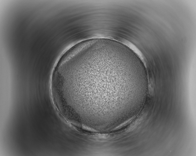 X0000093451096200710261056