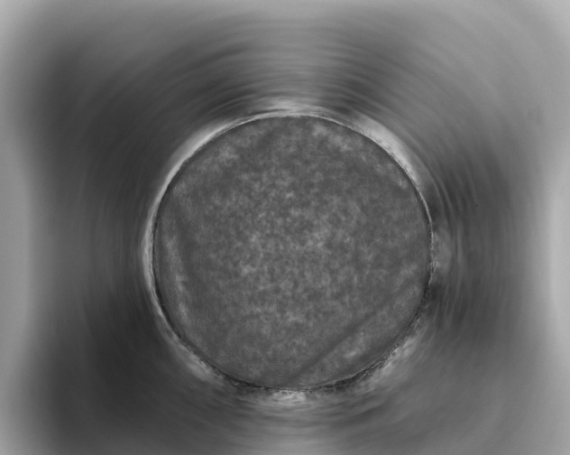 X0000093451098200710261056