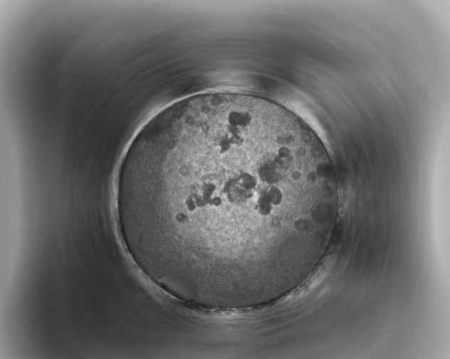 X0000093451099200710261056