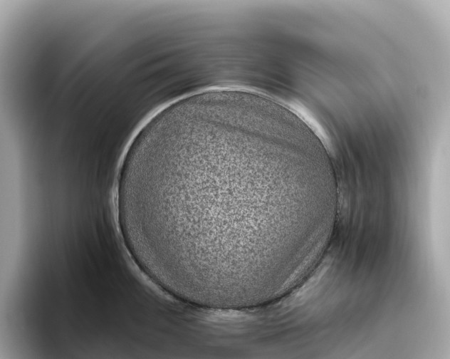 X0000093451100200710261056