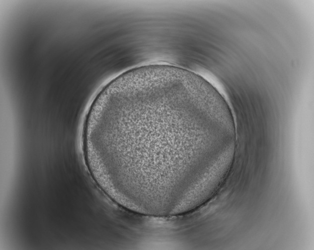 X0000093451104200710261056