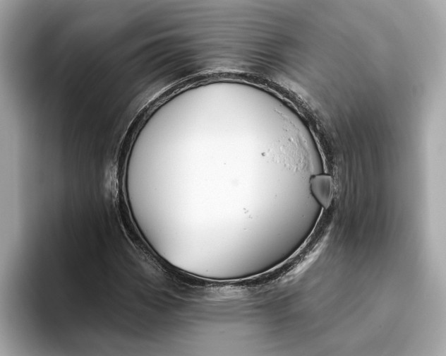 X0000093451113200710261055