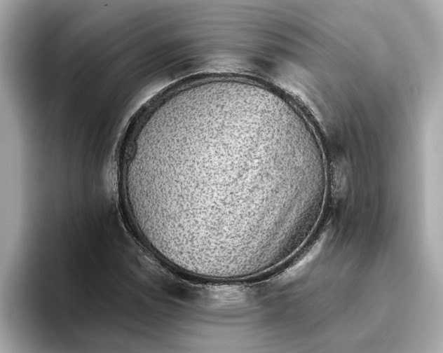 X0000093451114200710261055