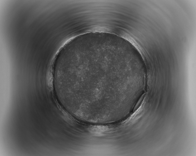 X0000093451115200710261055