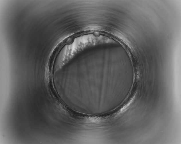 X0000093451117200710261055