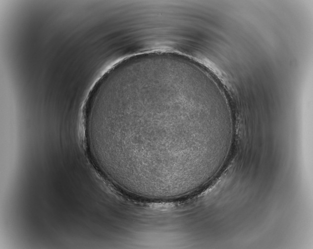 X0000093451118200710261055