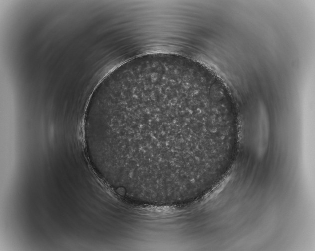 X0000093451121200710261055