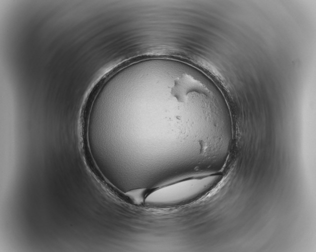 X0000093451122200710261055