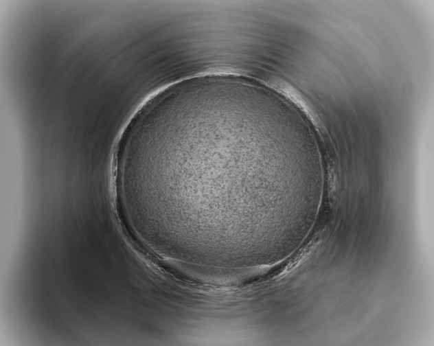 X0000093451124200710261055