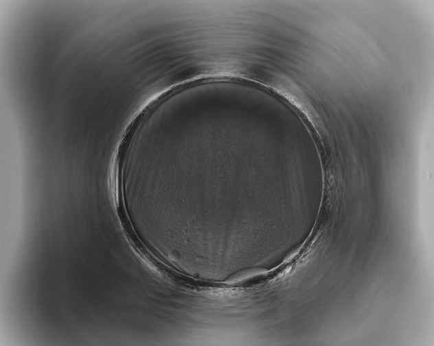 X0000093451127200710261055