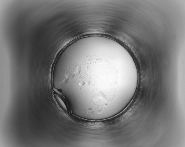 X0000093451129200710261055