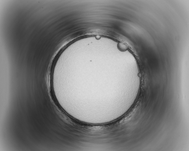 X0000093451130200710261055